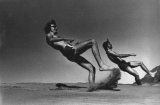 GL 1970s 001